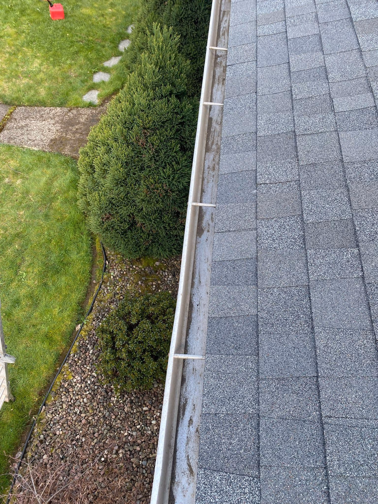 View from rooftop showing a partly dirty gutter next to gray shingles and shrubs on the ground.