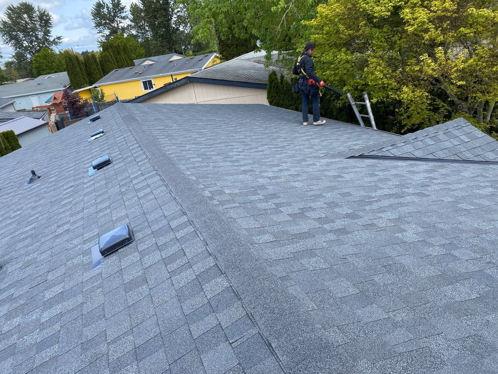 Person standing on a gray shingled roof near trees, holding a leaf blower, with a ladder nearby.