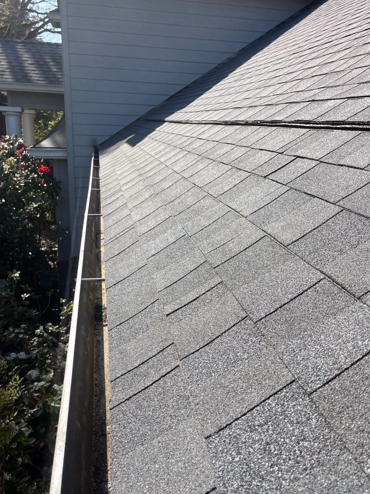 Clean roof shingles and gutter on a sunny day alongside a garden with blooming flowers.
