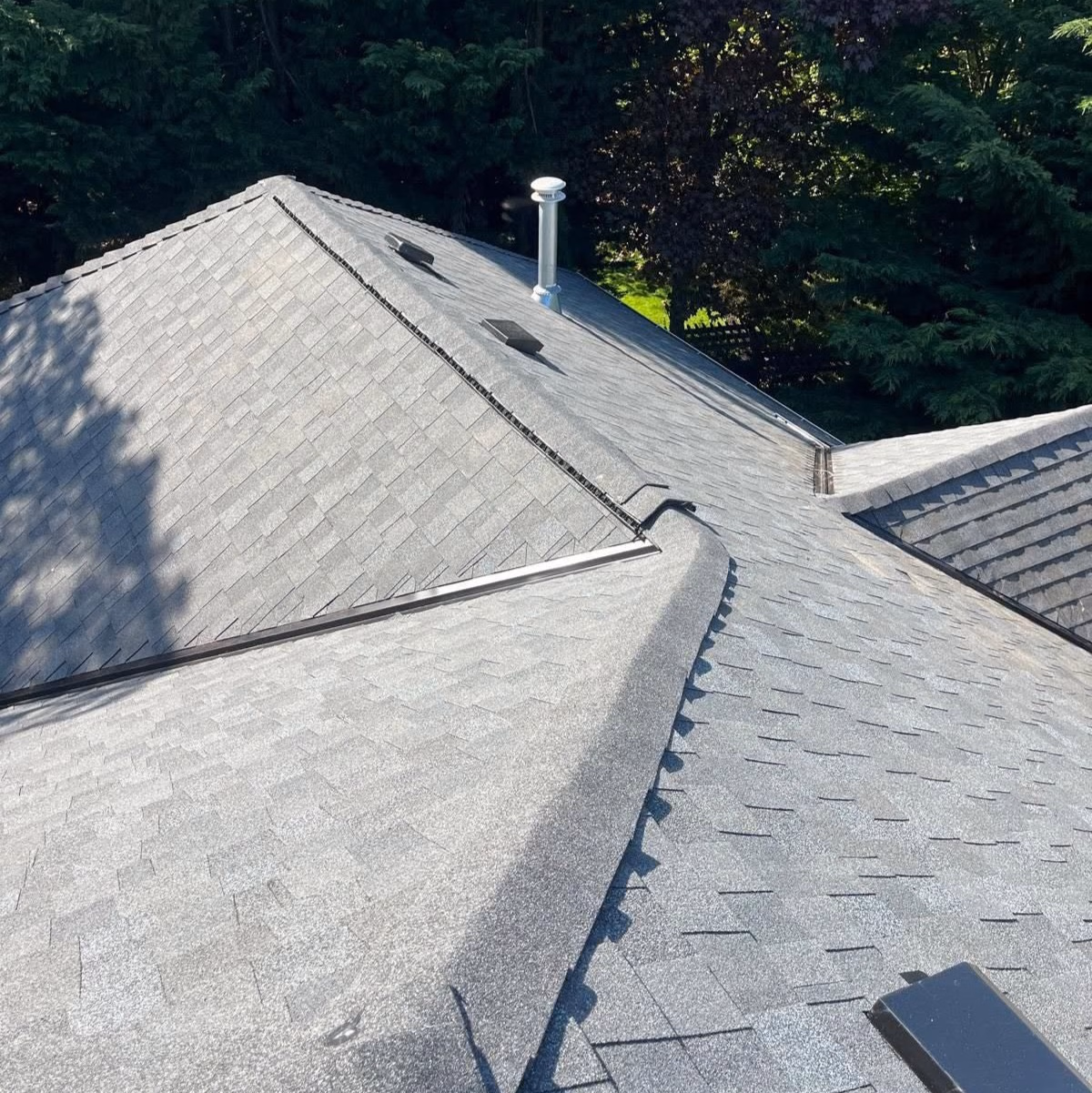 Gray shingled rooftop with vents and a metal chimney surrounded by dense green trees.
