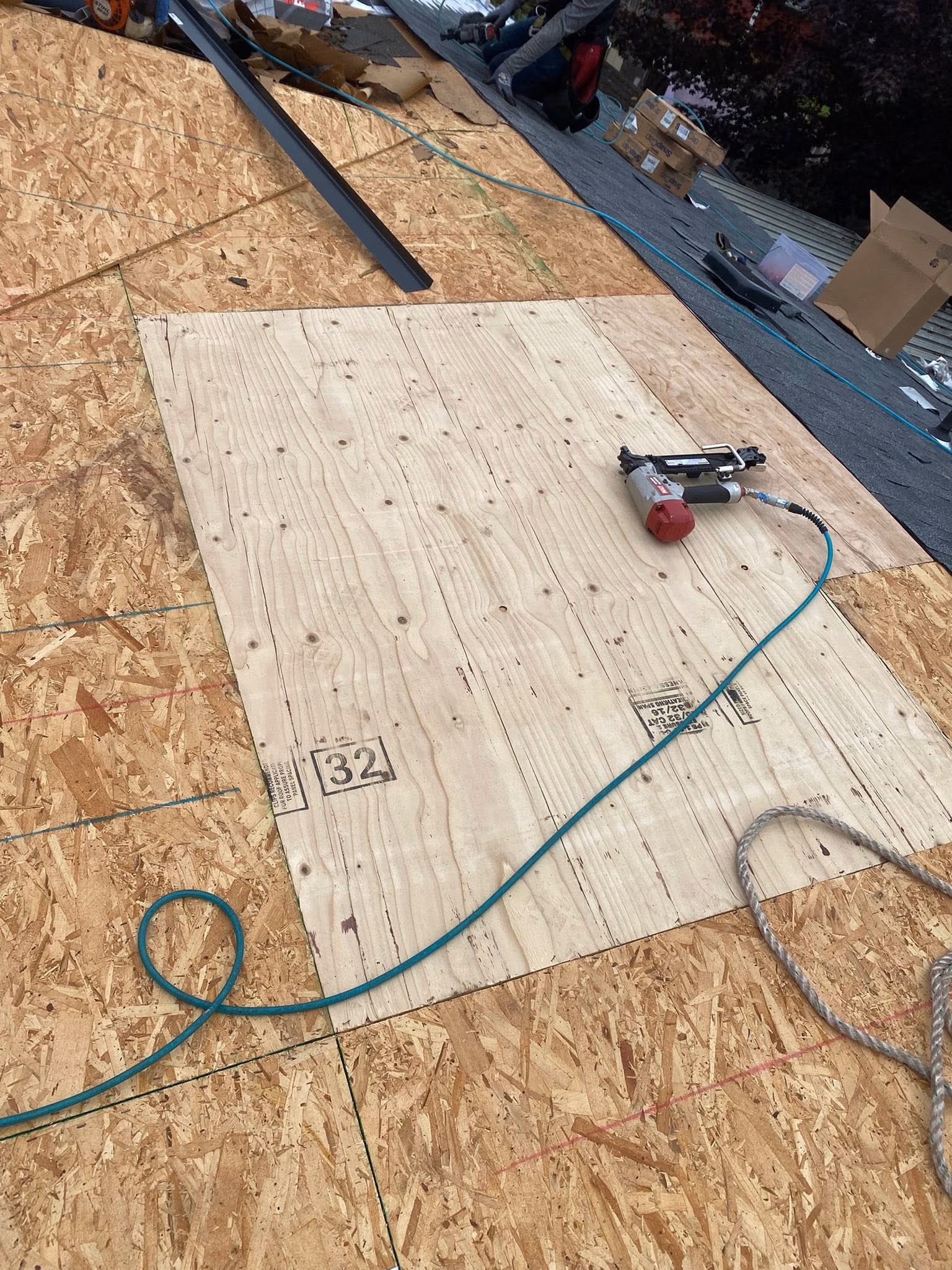 Plywood sheets being installed on a roof with a pneumatic nail gun attached to a green hose.