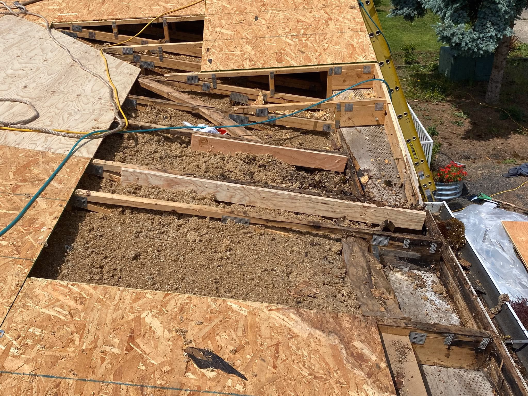 Partially removed roof sheathing exposes wood framing and insulation with tools and ladder nearby outdoors.