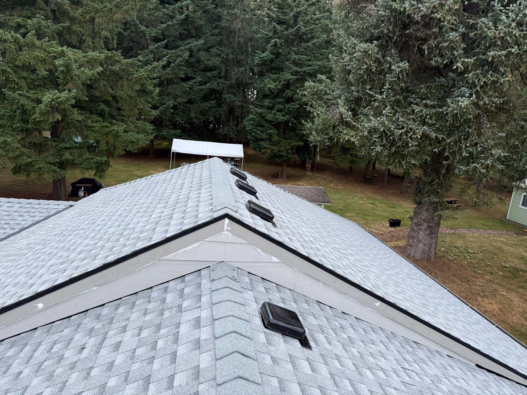 Gray shingled roof with multiple black ventilation vents surrounded by tall green trees.
