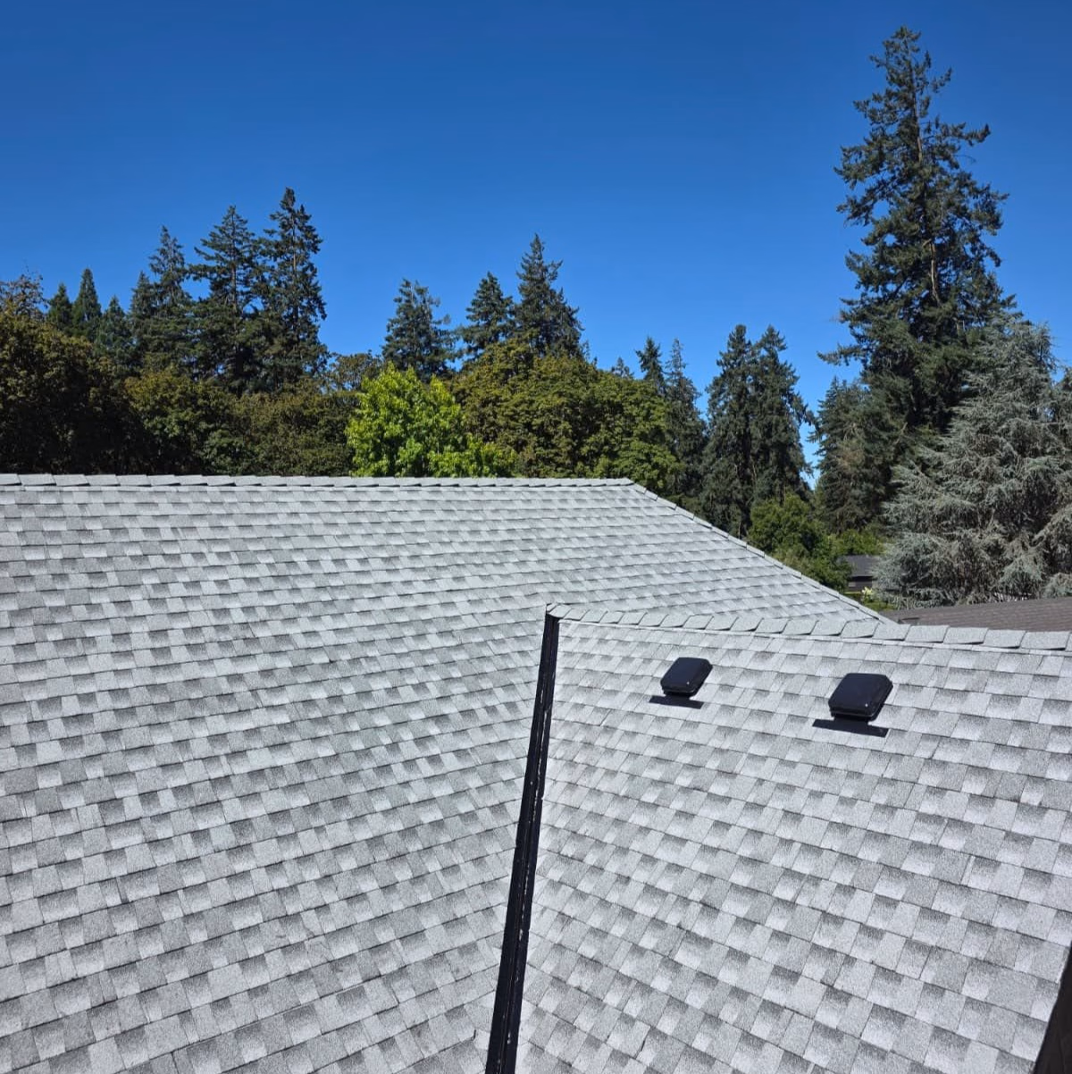 Gray shingled roof with two black vents and tall evergreen trees under a clear blue sky.