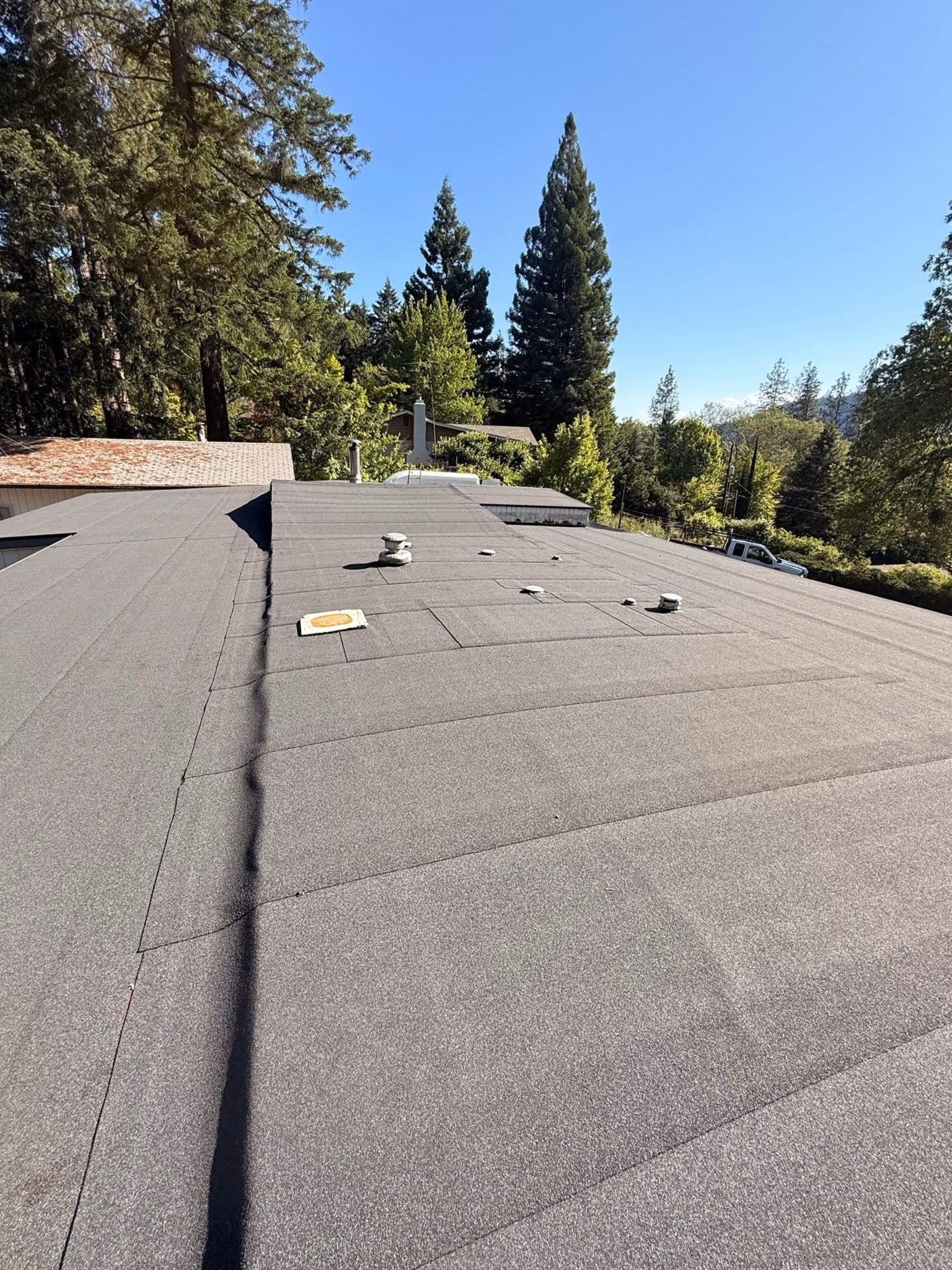 Flat grey rooftop with vents and pipes surrounded by trees under a clear blue sky.