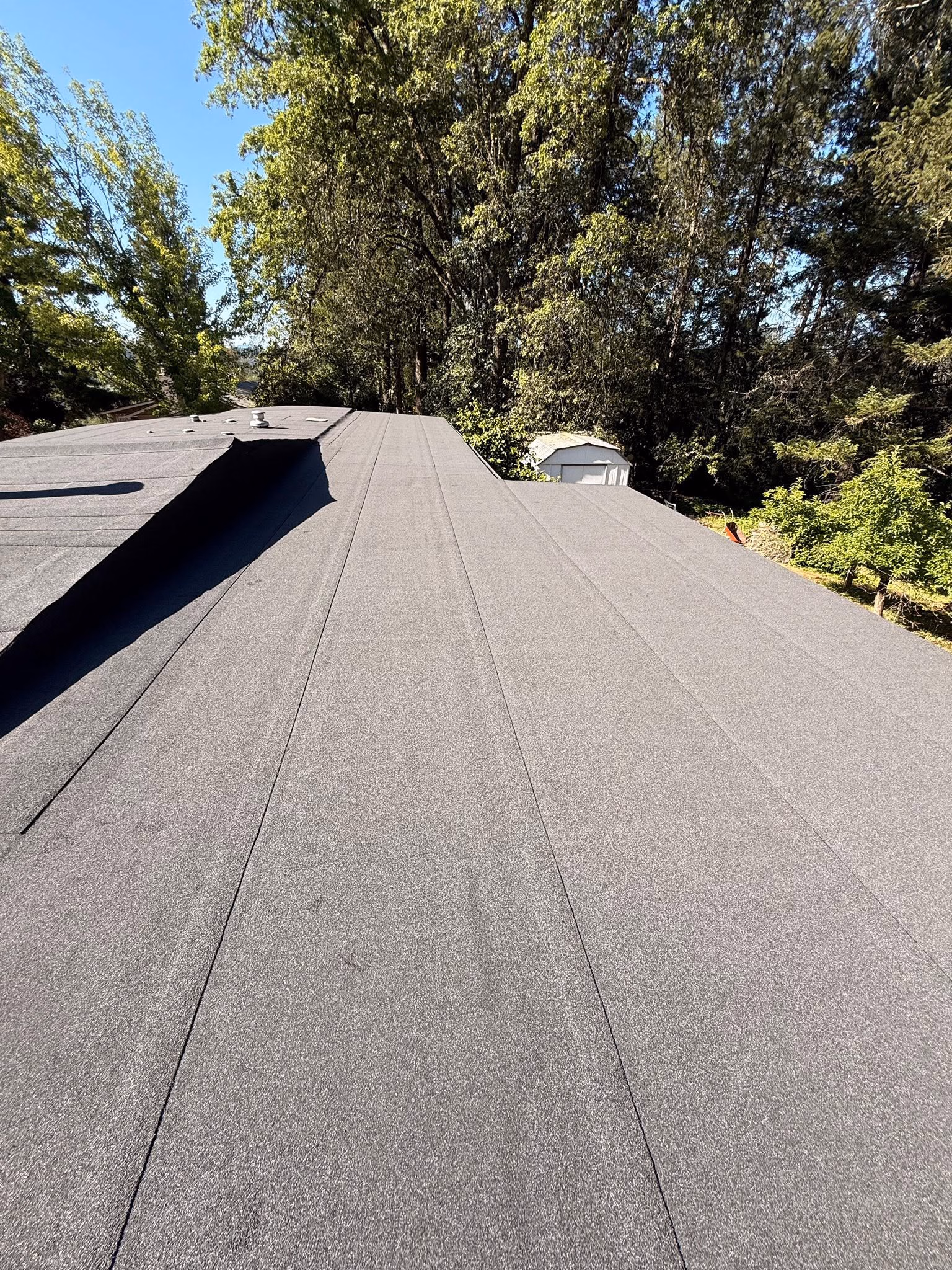 Flat roof with gray membrane surfaced against a backdrop of tall green trees under a clear blue sky.