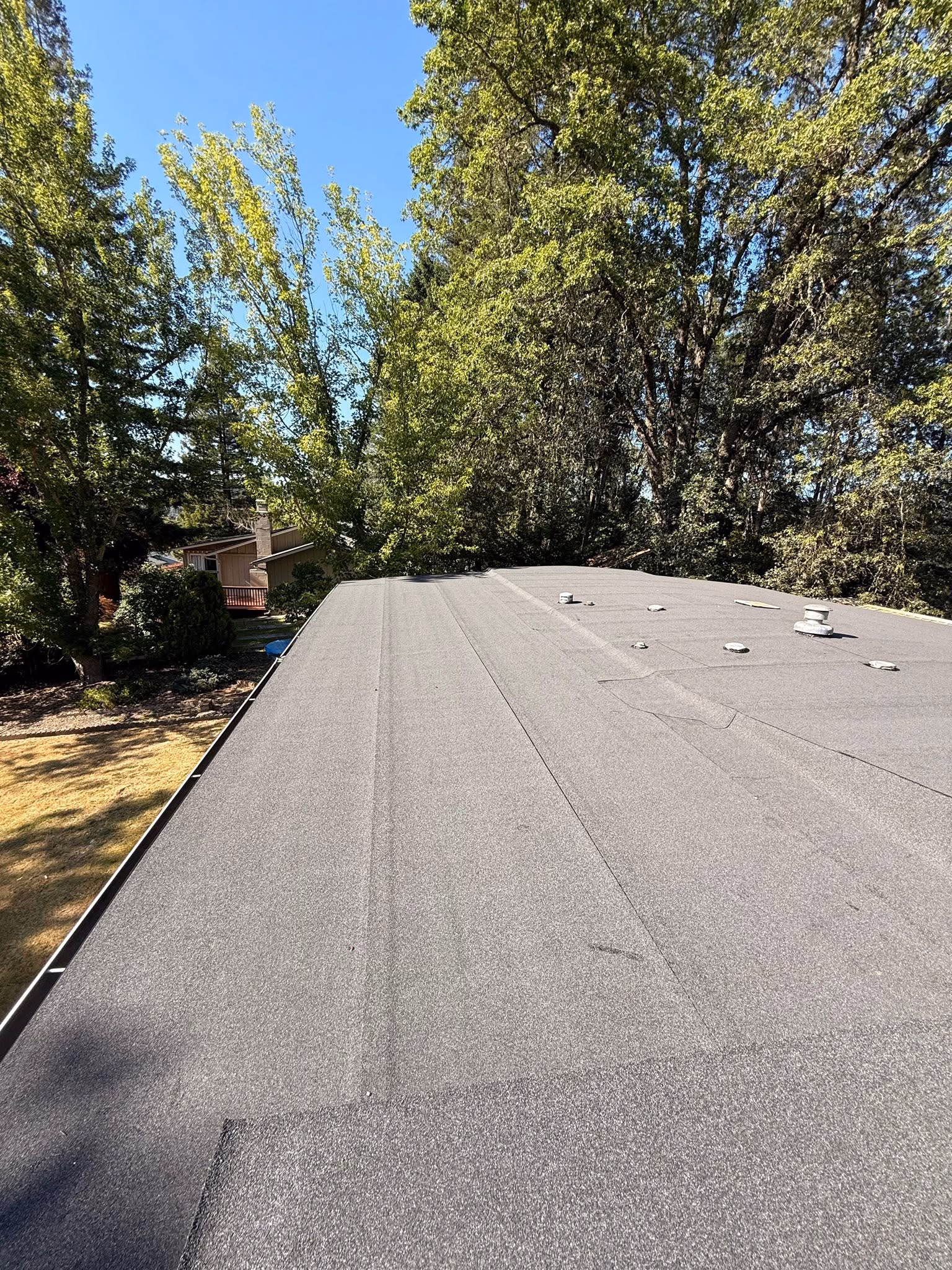 Flat gray roof surface with vents surrounded by green trees and blue sky on a sunny day.